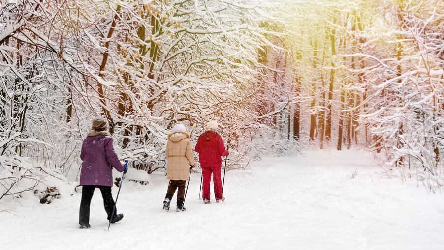 WALK ON CHRISTMAS DAY