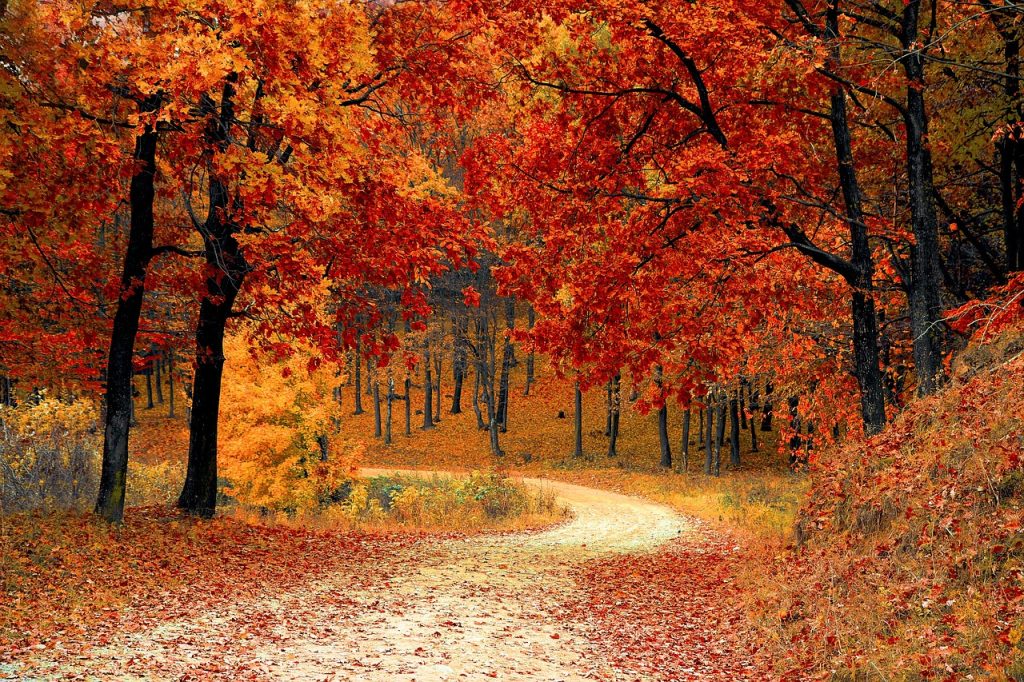 How to Rethink the Fall Season