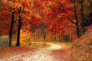 How to Rethink the Fall Season